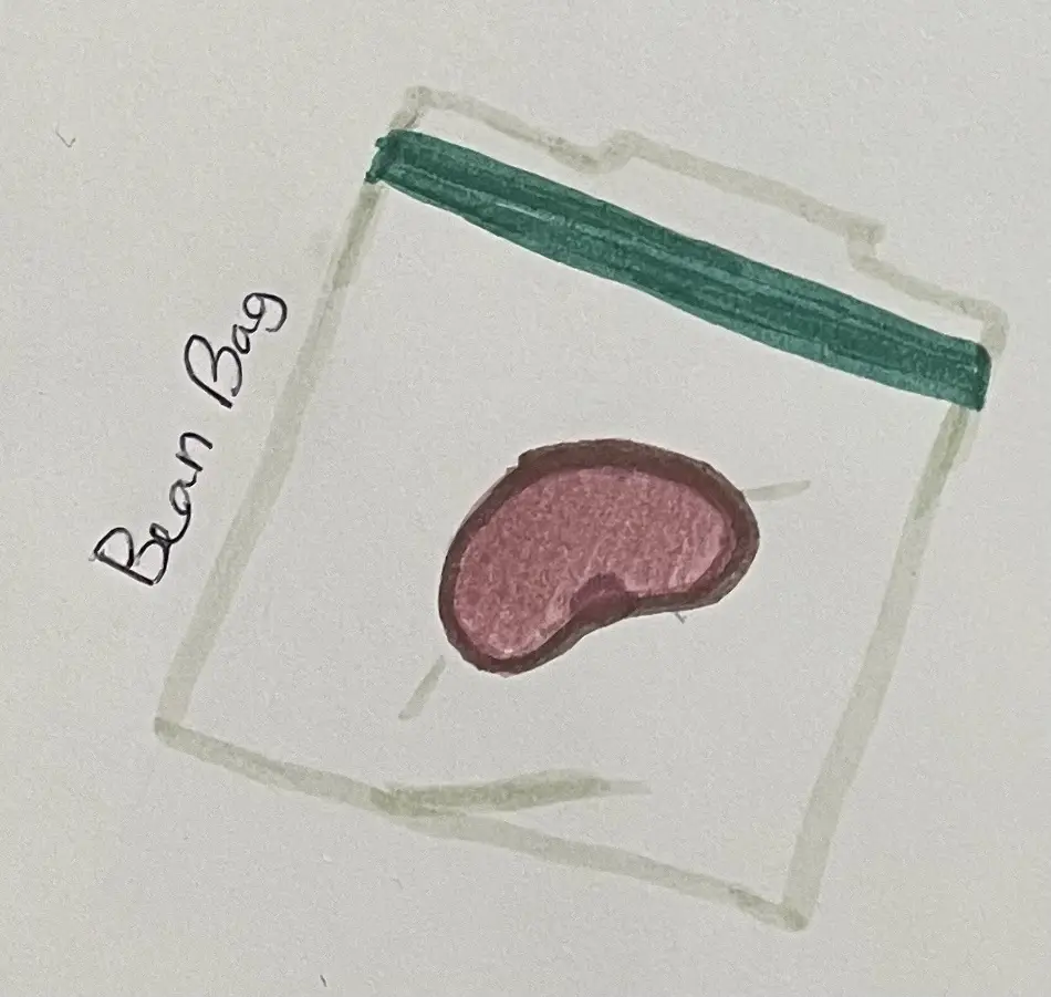 A hand-drawn, childlike illustration shows a simple white bag with a green zipper, containing a single pinkish-red bean. The…