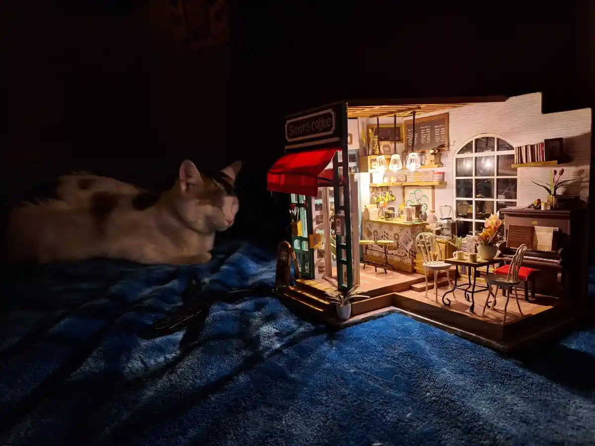 A real cat lies blurred and sleeping on a blue blanket to the left, while a detailed, illuminated miniature coffee shop…