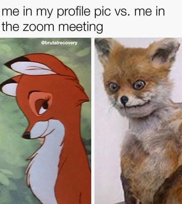 The image is split into two panels. The left panel shows a cartoon fox with a polished, confident, and attractive…