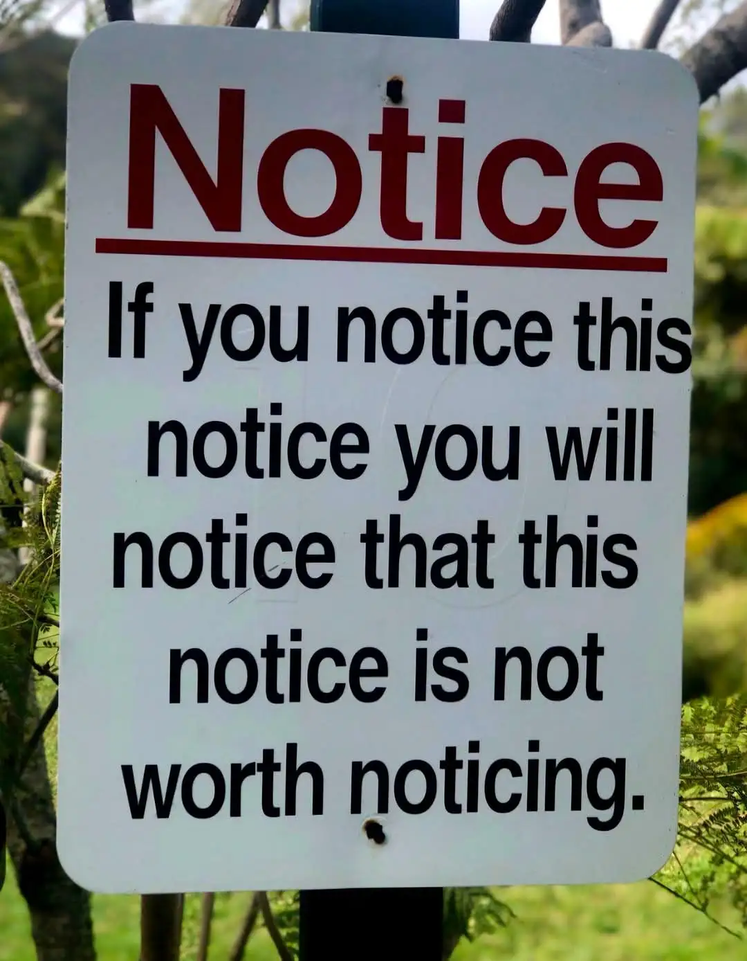 A white rectangular sign with red and black text is mounted outdoors among green foliage. The sign reads 'Notice' in large…