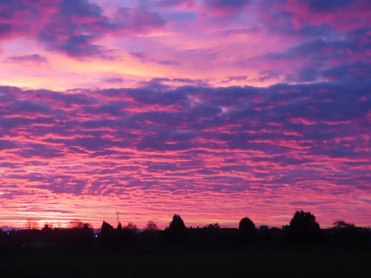 A vibrant, colorful sky at sunset or sunrise with pink, purple, and orange clouds, silhouetting trees and distant buildings…