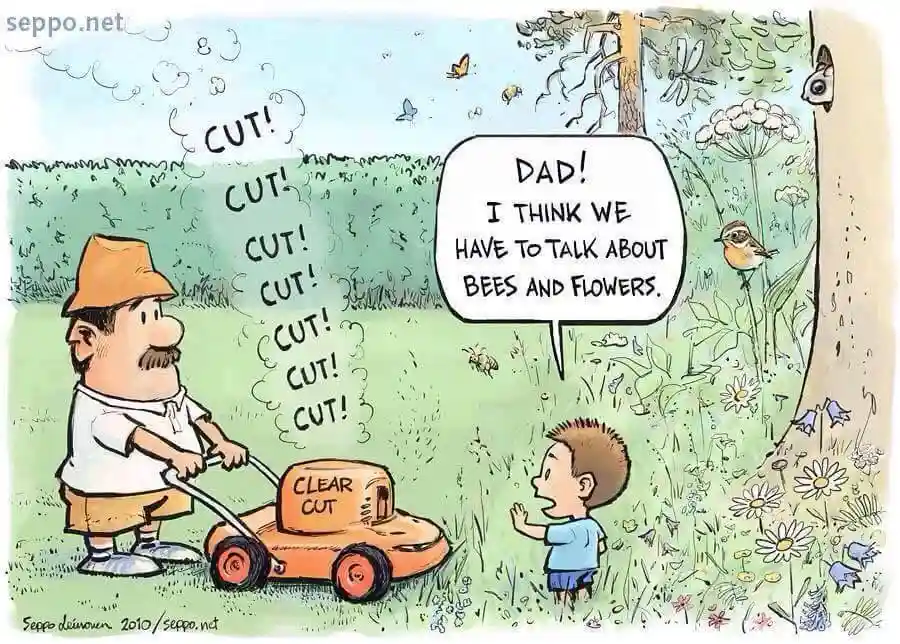 A cartoon depicts a man mowing a grassy field with a lawnmower labeled 'CLEAR CUT', emitting 'CUT!' sounds. A young boy…