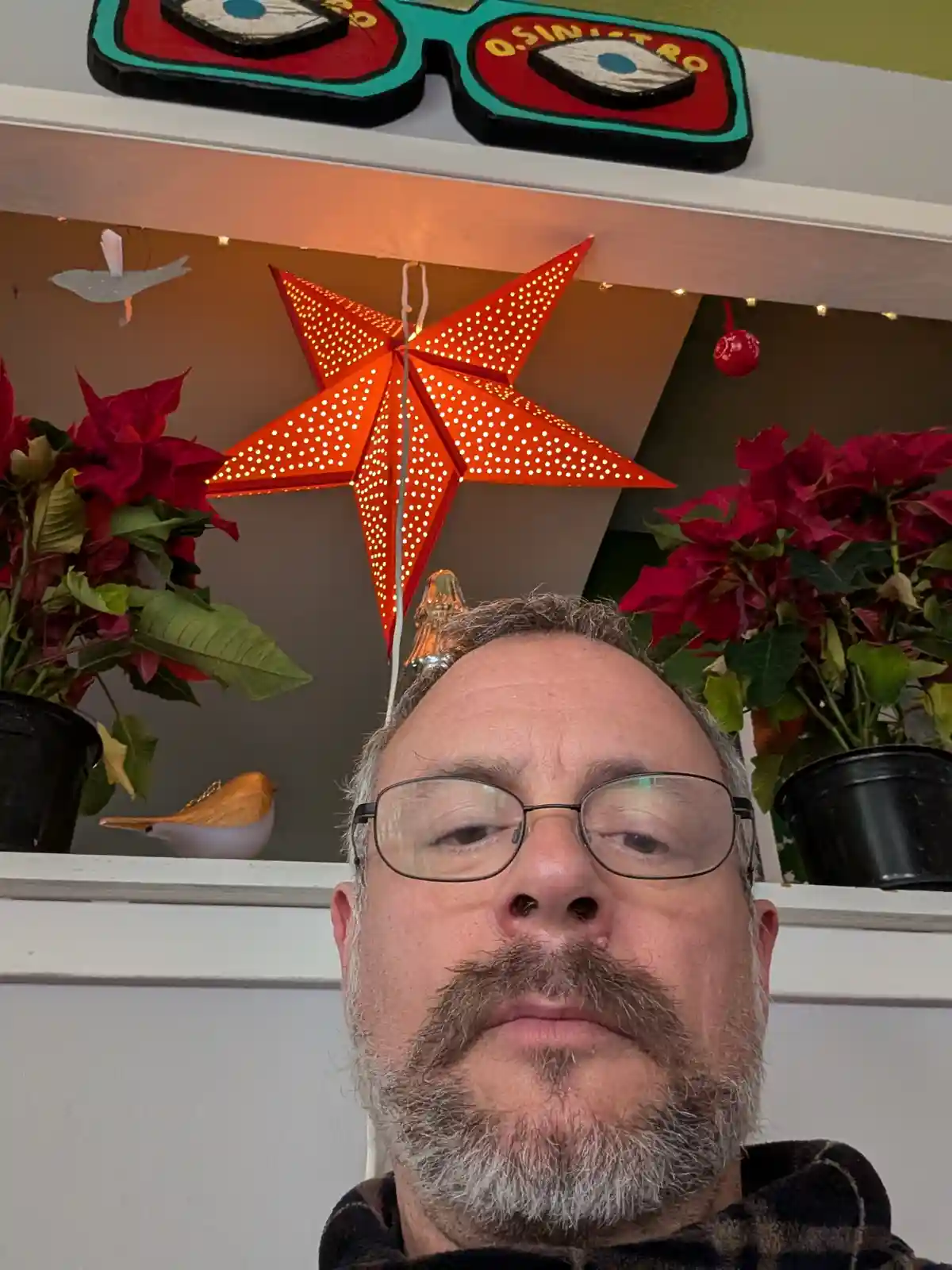 A man with glasses and a mustache stares blankly at the camera, positioned in front of a shelf decorated with poinsettias, a…
