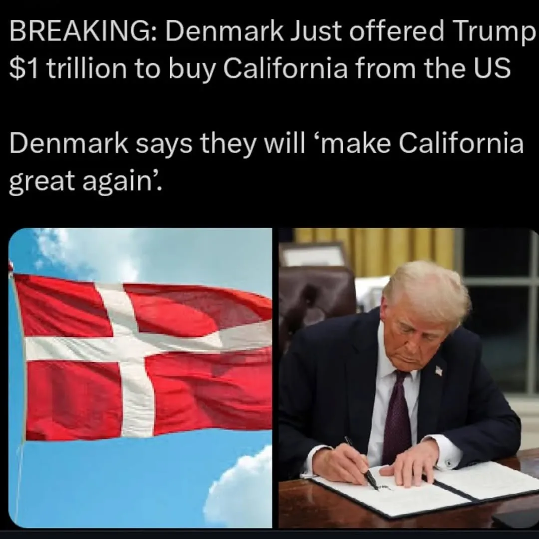 The image is split into two panels: the left shows the red and white Danish flag waving against a blue sky, and the right…