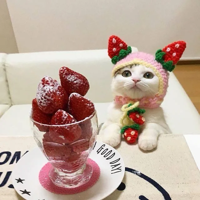 Deliciously Sweet Strawberries