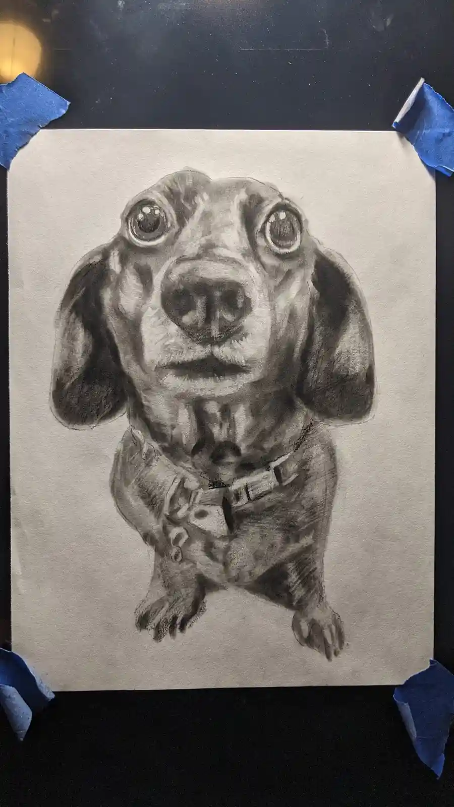 A detailed pencil sketch of a dachshund, taped to a dark surface with blue painter's tape, shows the dog with large…