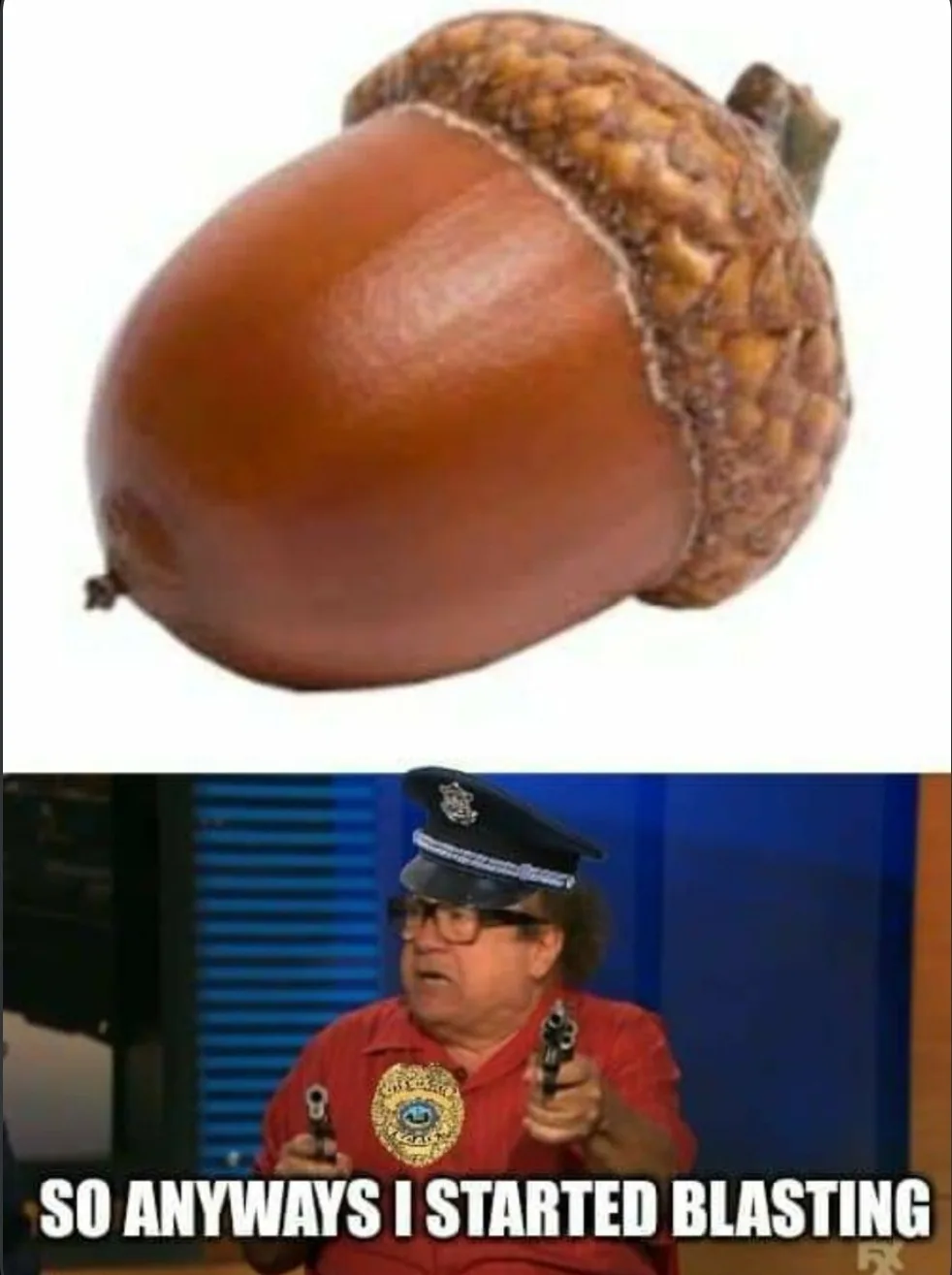 Acorns: The Ultimate Aerodynamic Team!
