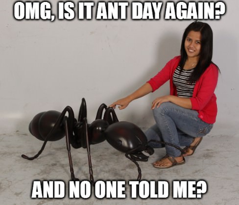 A woman in a red cardigan and jeans kneels beside a large, shiny black ant statue, gently touching its head. The image has…