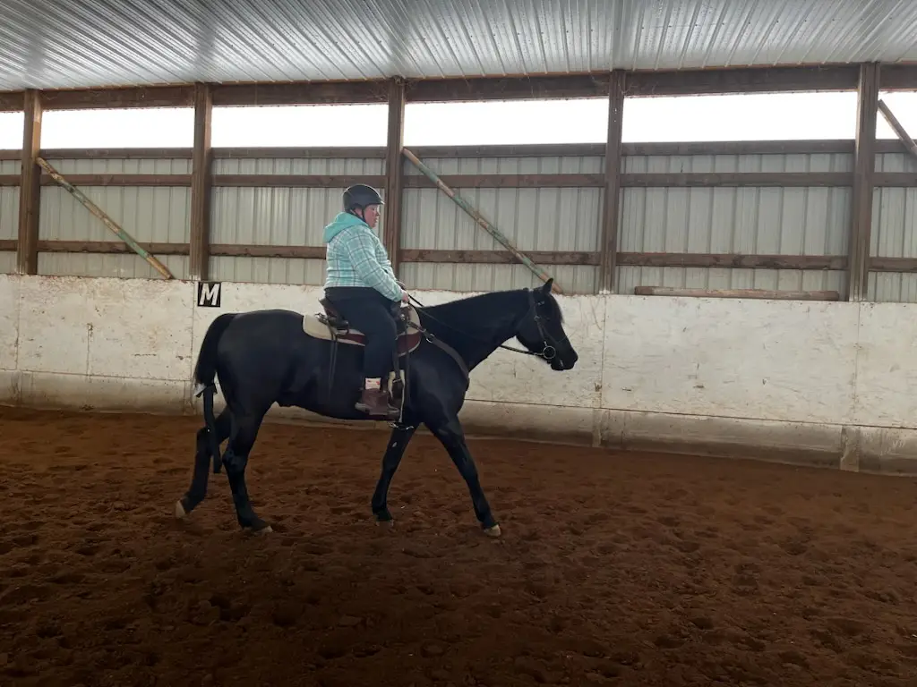A person wearing a helmet and plaid shirt is riding a black horse inside a covered arena with dirt ground and corrugated…