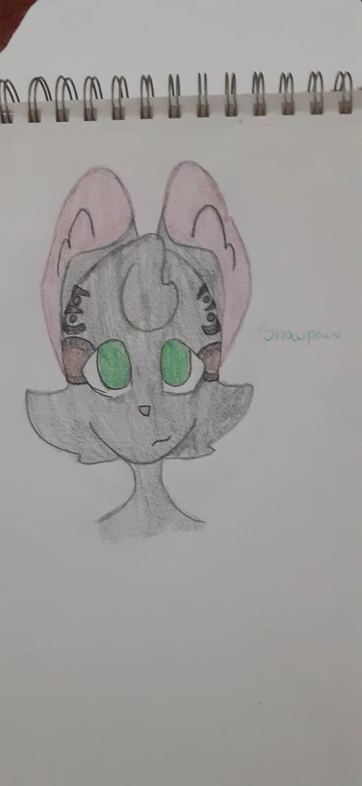 A hand-drawn sketch on spiral-bound notebook paper shows a stylized cat-like character with grey fur, large green eyes, pink…