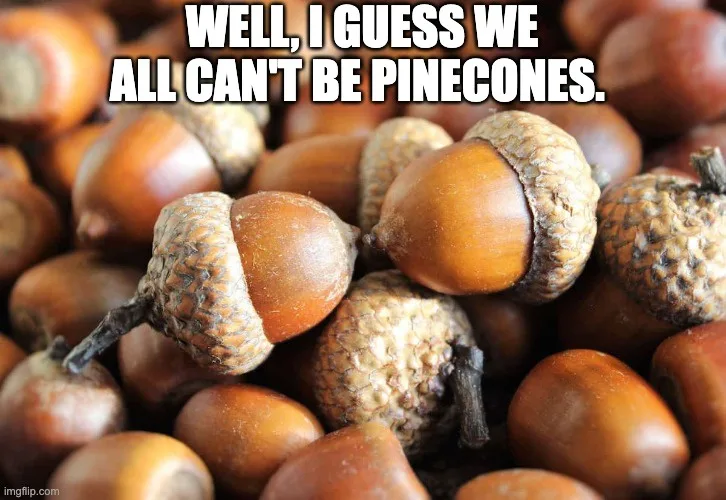A close-up photo shows a pile of acorns, some with their caps still attached, others without. The overlaid text reads 'WELL…
