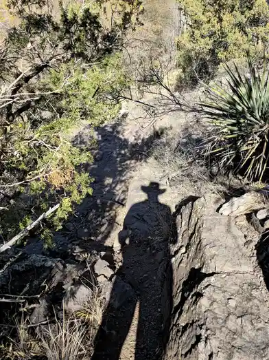 All I Could Manage Was a Shadow Selfie - Happy Holidays!