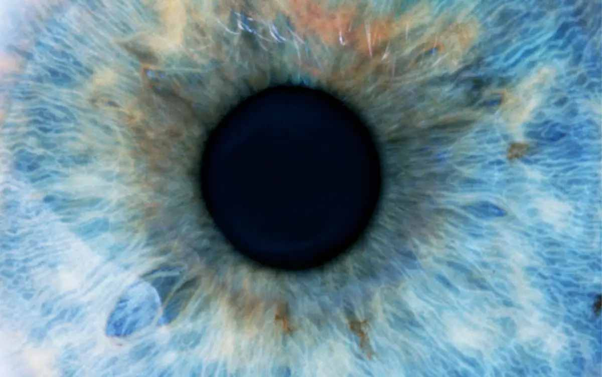 A close-up photo of a human eye with a blue and green iris, showing detailed patterns and some brown specks, centered on a…