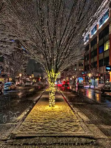 A nighttime city street scene with snow-covered sidewalks and bare trees, one of which is wrapped in bright yellow string…