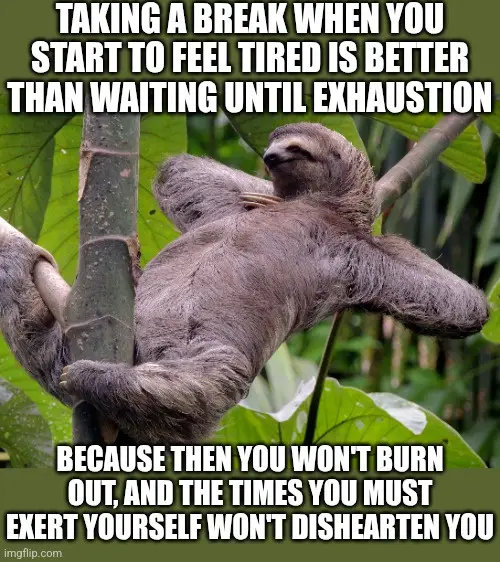 A sloth is shown hanging lazily from a tree branch in a lush green forest, appearing very relaxed and sleepy. Overlaid white…