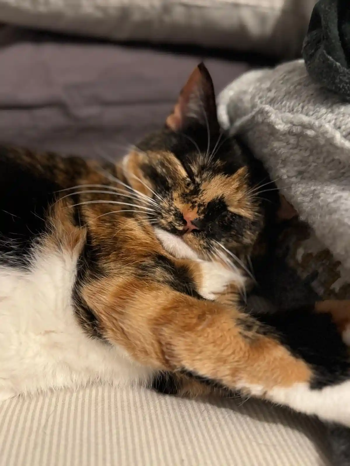Crumble’s Daily Dose of Inspiration Through Pictures