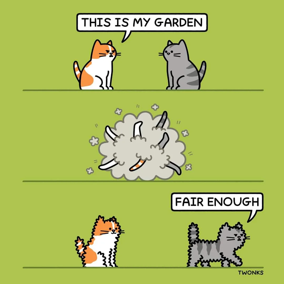 A three-panel cartoon shows two cats: the top panel has an orange and white cat declaring 'THIS IS MY GARDEN' to a gray…