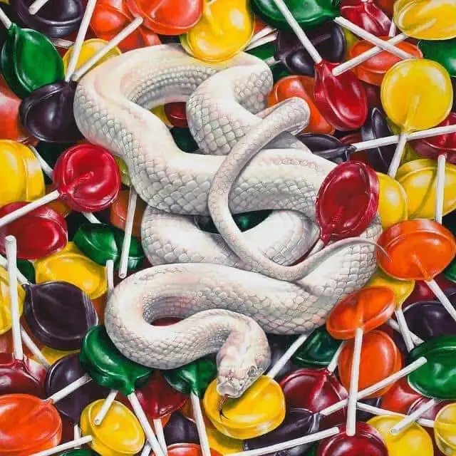 A realistic painting of a pale, coiled snake resting atop a colorful pile of assorted lollipops with red, yellow, green, and…