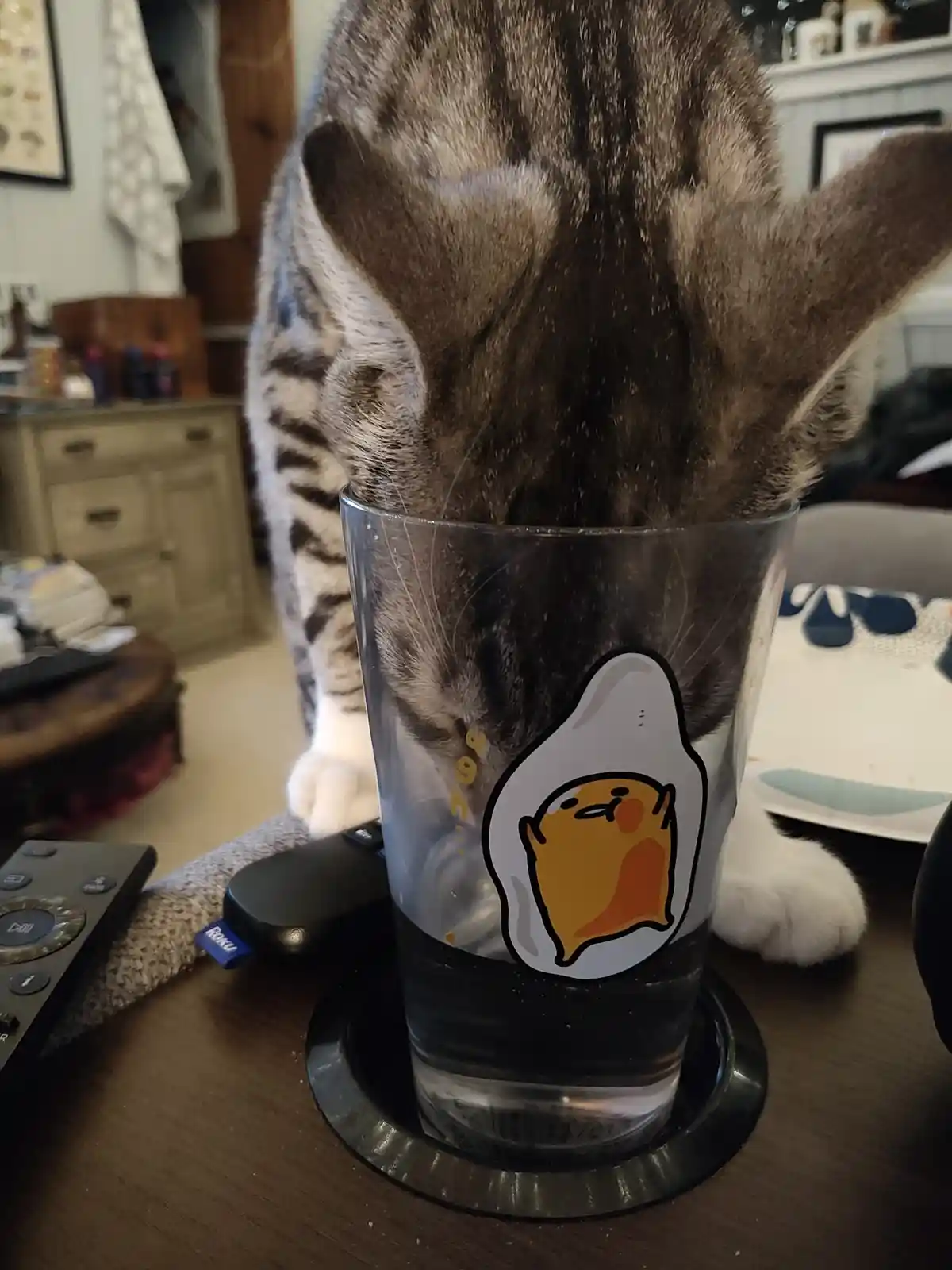 A tabby cat with white paws has its head stuck inside a tall glass of water sitting on a coaster. The glass has a cartoon…