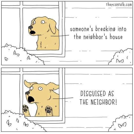 A two-panel comic shows a golden retriever looking out a window. In the first panel, it sees someone breaking into the…