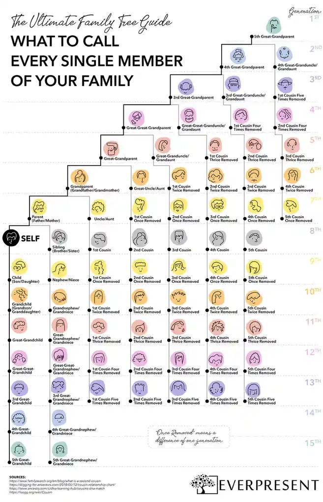 A colorful, illustrated family tree chart titled 'The Ultimate Family Tree Guide: WHAT TO CALL EVERY SINGLE MEMBER OF YOUR…