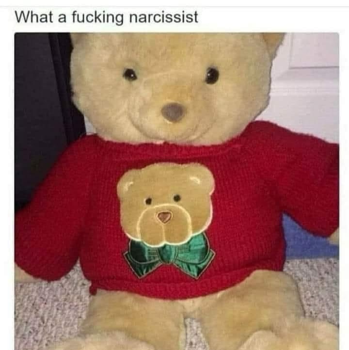 A light brown teddy bear wearing a red knitted sweater with a bear face and green bow design on the front. The overlaid text…