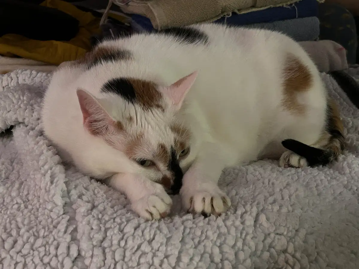 Adorable Little Feets!