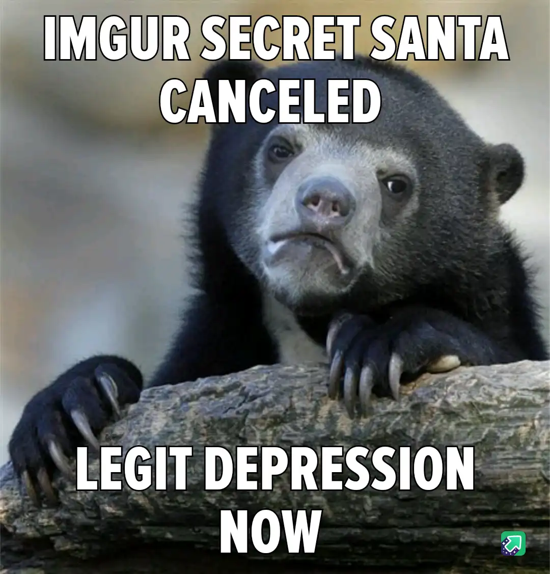 A close-up of a sad-looking sun bear resting its paws on a log, with white bold text overlaid that reads 'IMGUR SECRET SANTA…