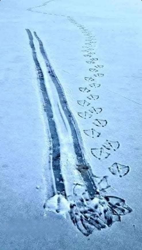 A snowy landscape shows a long, straight trail of footprints leading away from a large, distorted footprint at the bottom…