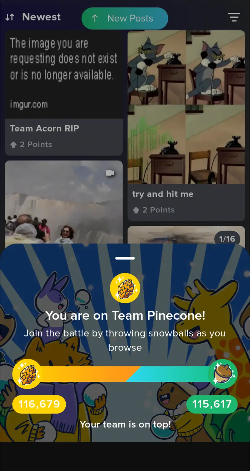A screenshot of a mobile game interface showing a user's team, 'Team Pinecone,' leading with 116,679 points over a rival…