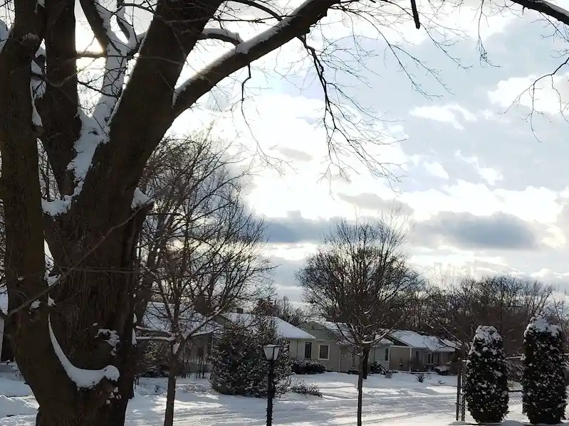 A snowy suburban neighborhood with bare trees and snow-covered houses under a cloudy sky, overlaid with the text 'i'm not…