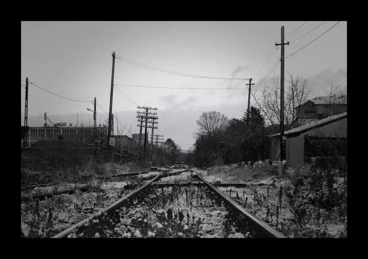 Rediscovering Hidden Melodies of Winter