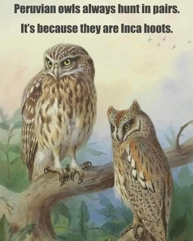 Two illustrated owls perch on a tree branch against a soft, painterly background with distant birds. The larger owl on the…