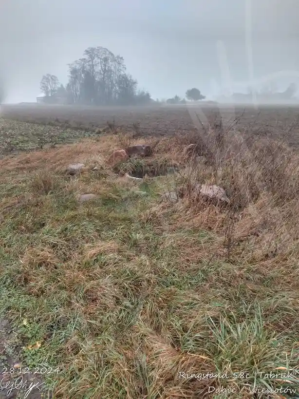 A foggy rural field with scattered rocks and dry grass, with overlaid text identifying it as 'Ringstand 58c "Tobruk" Dąbie /…