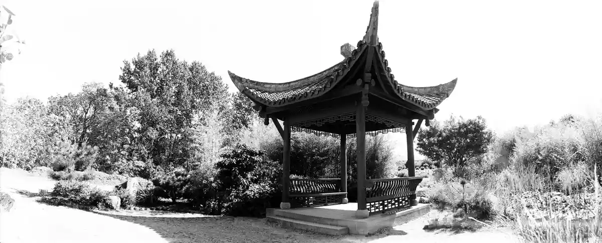 A black-and-white photo of a traditional East Asian pavilion with curved roof tiles, surrounded by trees and shrubs in a…