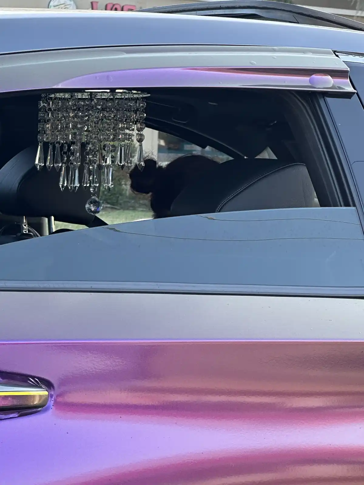 A close-up of a purple and pink metallic car's rear window shows a person with dark hair sitting inside, with a large…