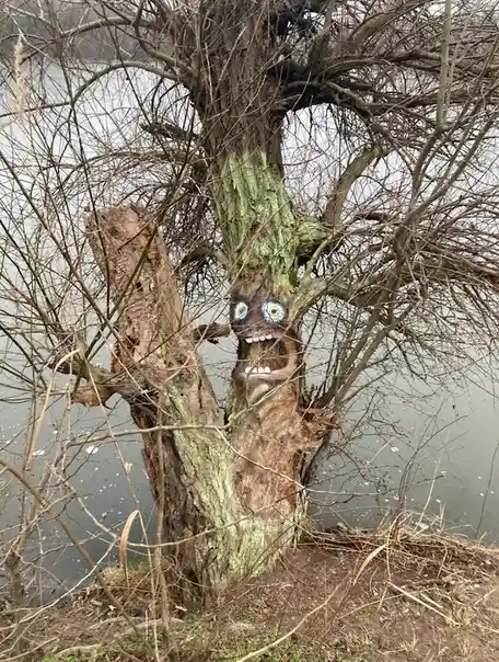 A bare, gnarled tree by a body of water has been painted with cartoonish eyes and a wide, toothy grin, giving it a goofy…
