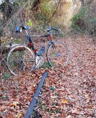 A black and red road bicycle with drop handlebars and a water bottle is parked upright on a leaf-covered trail in a wooded…