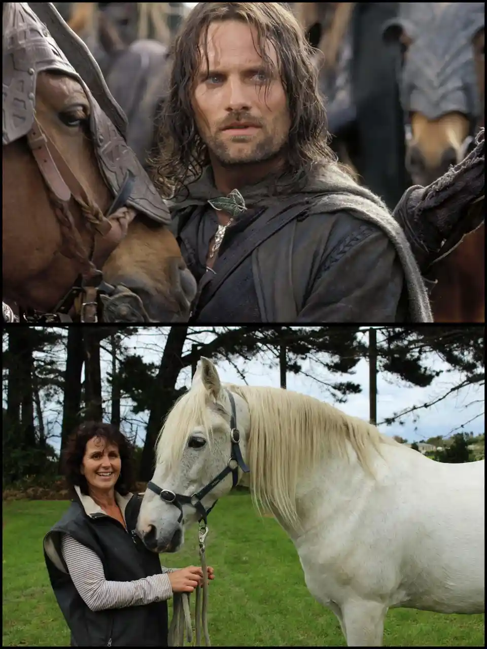 The top panel shows a close-up of Aragorn from 'The Lord of the Rings' looking serious while standing next to a horse. The…