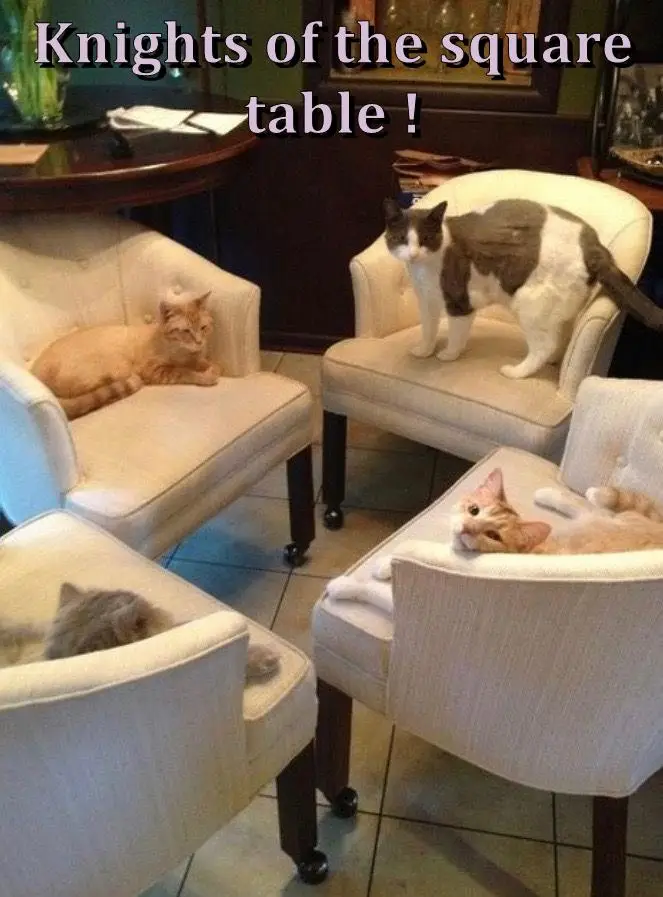 Four cats are positioned in four armchairs arranged in a square formation around a table, resembling a medieval council. One…