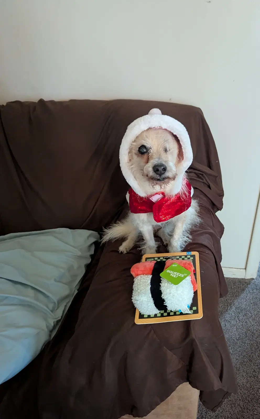 A small, light-colored dog wearing a white fluffy hood and a red sequined bow sits on a brown couch next to a plush sushi…