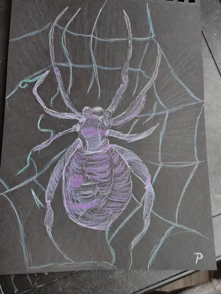A chalk drawing on dark paper depicts a large, detailed spider with purple and white coloring, centered within a blue…