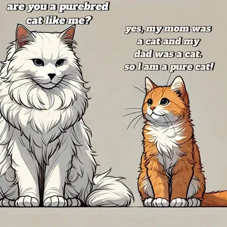 Two cartoon cats sit side by side; a fluffy white cat on the left asks if the smaller orange tabby on the right is a…