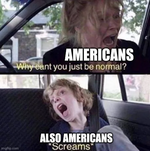Top panel shows a woman in a car yelling with text 'AMERICANS' and 'Why cant you just be normal?'. Bottom panel shows a…