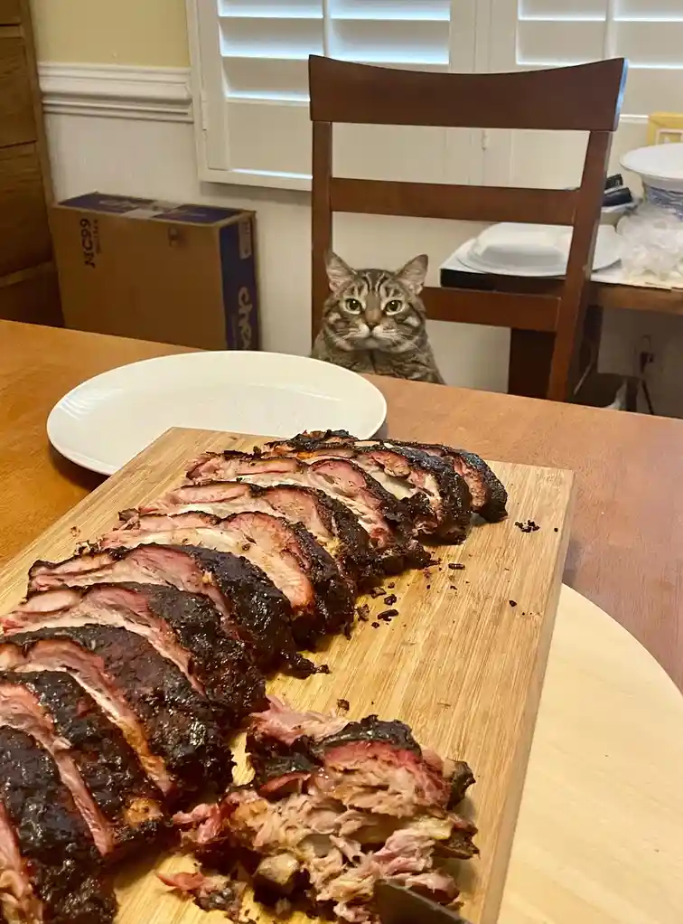 A tabby cat sits on a wooden chair behind a dining table, staring intently at a large wooden cutting board with sliced…