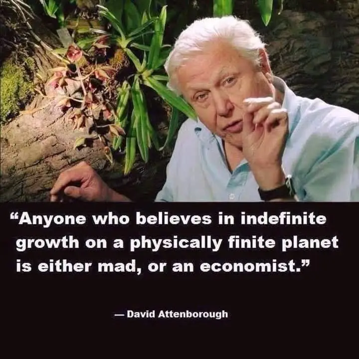 An older man with white hair, wearing a light blue shirt, sits in front of green plants and a mossy rock. He holds his…