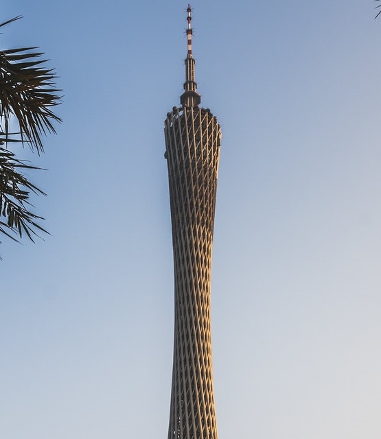 A low-angle photo shows the Guangzhou Tower against a clear blue sky, with palm fronds visible in the top-left corner. The…