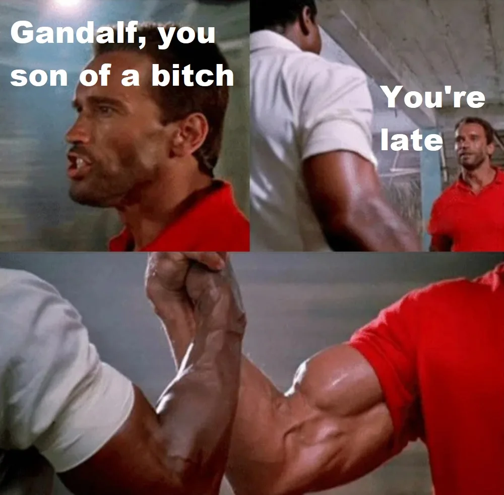 A three-panel meme featuring Arnold Schwarzenegger from 'The Terminator' in a red shirt, yelling 'Gandalf, you son of a…