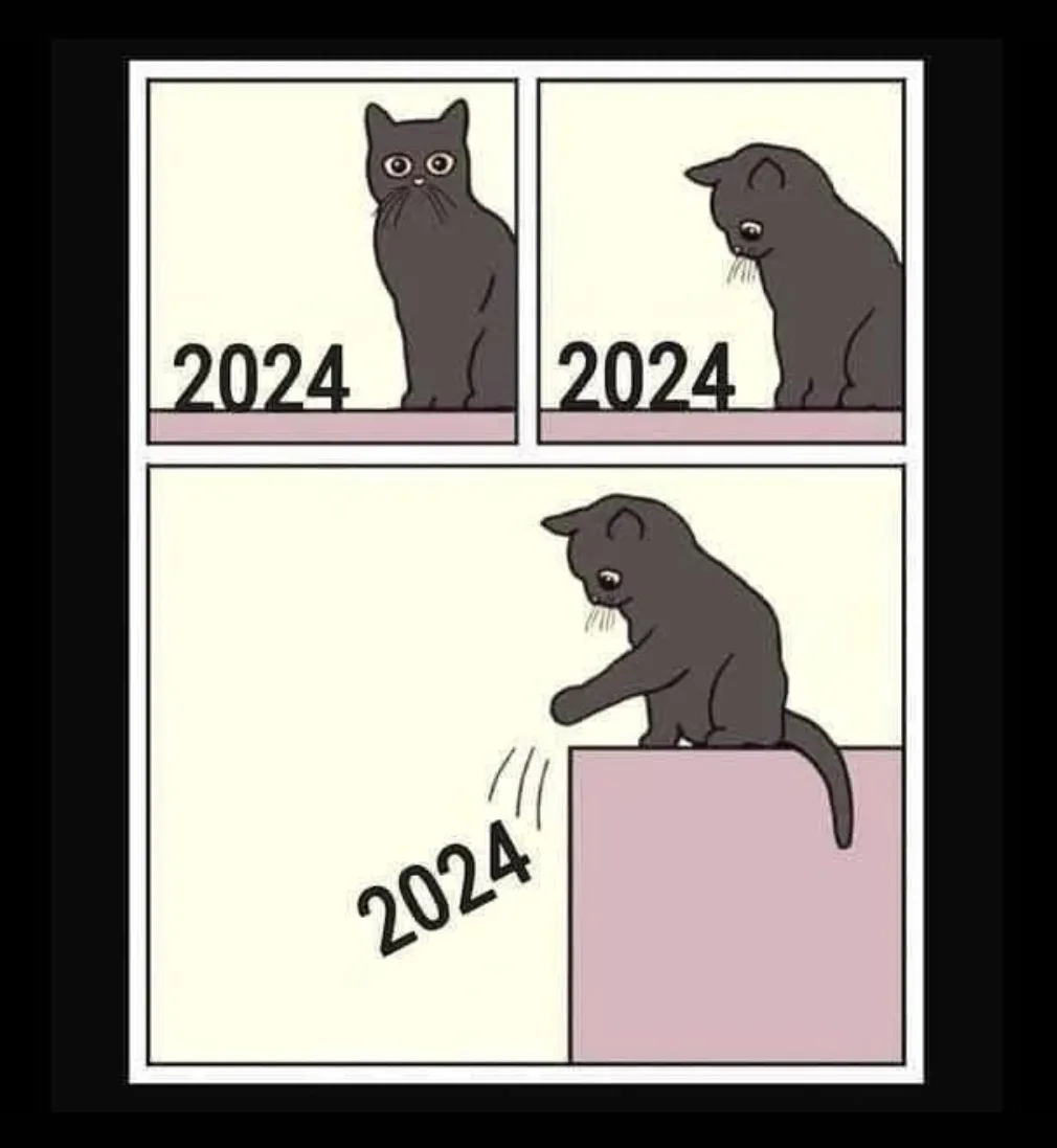 A three-panel comic strip shows a black cat looking hopeful in the first panel labeled '2024', then looking downcast in the…