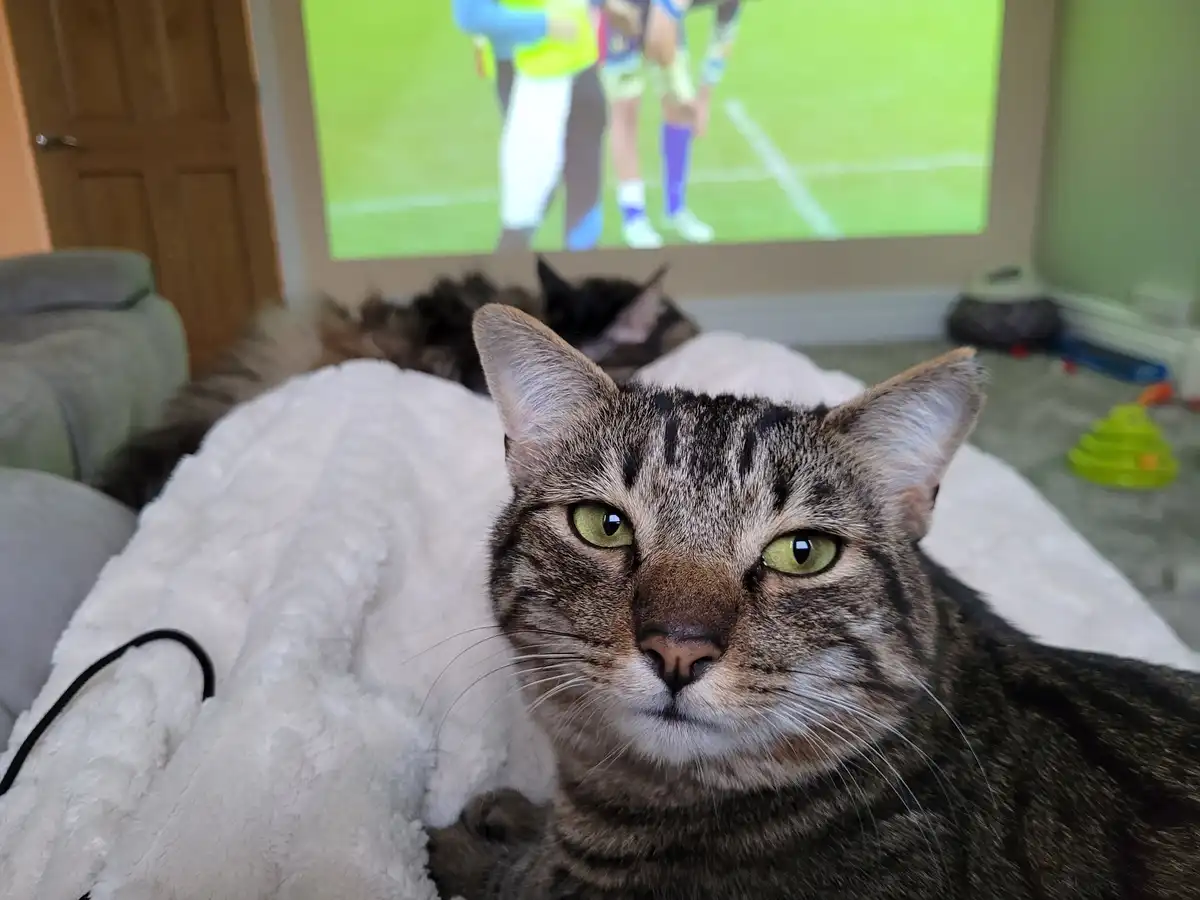 A tabby cat with green eyes stares intensely at the camera while lying on a white blanket, with a blurry TV screen showing a…